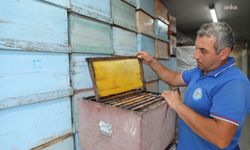 Muğla Büyükşehir Belediyesi, arı üreticilerine yönelik desteklerini sürdürüyor