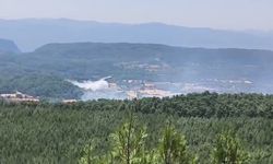 Muğla'da orman yangınını kontrol altına alma çalışmaları sürüyor