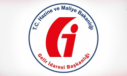 Mükellef hatasında faturayı Hazine ödedi: Sayıştay'dan 'yersiz faiz' tespiti