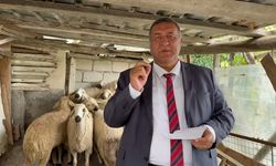 Ömer Fethi Gürer: Kırmızı et üretimi yarım milyon ton düşerken, sütte kayıp 2,1 milyon tonu buldu