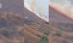 Palu'da dağlık alanda arazi yangını