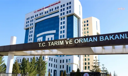 Sayıştay'ın raporuna göre, TÜRKVET'te milyonlarca hayvanın aşı kaydı bulunamadı