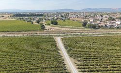 Şehzadeler Belediyesi'nden Karaağaçlı'da yol düzenleme çalışması