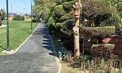 Şehzadeler Belediyesi'nden parklarda bakım ve peyzaj çalışması
