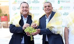Şehzadeler'de dört gün sürecek 'Bağ Bozumu Şenlikleri' başlıyor