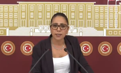Sera Kadıgil'den sosyal medya hesaplarına erişim engeli getirilmesine tepki: Muhaliflerini yok etmek için tüm enerjisini kullanıyor