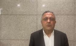 Sezgin Tanrıkulu: 'Deniz Göktaş'a verilen cezalar diğer sanatçılara gözdağı'