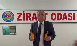 Sezgin Tanrıkulu'ndan hükümete çağrı: 'Bari çiftçiyi mısırda mağdur etmeyin'