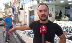 Sinoplu balıkçılar sezondan umutlu