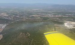 Soma'daki orman yangınına havadan ve karadan müdahale