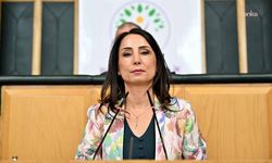 Tülay Hatimoğulları: 'Bütün imkanlar yangınları söndürmek üzere gecikmeksizin seferber edilmeli'