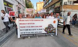 Tunceli'de 1 Eylül Dünya Barış Günü'nde yürüyüş: 'Silahların susması barış anlamına gelmez'
