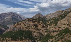 Tunceli'de 'özel güvenlik bölgesi' gerekçesiyle gidemediği köyüne 45 yıl sonra geri döndü
