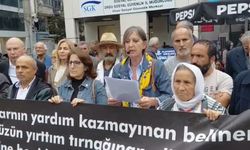Ünye'de bentonit ocağına karşı açıklama: ÇED süreci henüz tamamlanmadı