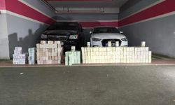 Vanlı Kara Haydar'ın milyonları ele geçirildi
