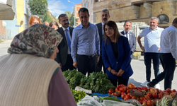 YENİ Parti Ankara Milletvekili Taşcıer: 'Niğde'de kime dokunsak bin ah işittik'