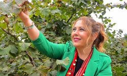 YENİ Partili Gezmiş: 'Fındıktaki fiyat çöküşü, üreticinin bitişi demektir'