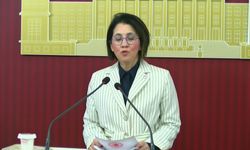 YENİ Partili Yaman: 'Ailelerin güvende olması isteniyorsa kadın cinayetleri ve istismar sorunları çözülmeli'