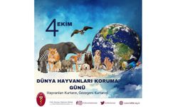 4 Ekim Hayvanları Koruma Günü: Onlar da Yaşamın Parçası