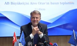 AB Büyükelçisi Orav: Türkiye raporu birkaç hafta içinde çıkacak