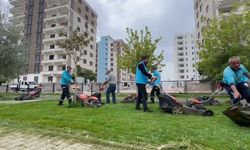 Adıyaman Belediyesi, parklarda bakım ve temizlik çalışmalarını sürdürüyor
