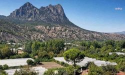 Alpagut-Atalan Altın-Gümüş Madeni Projesi'nde yürütmeyi durdurma