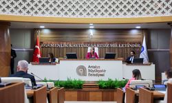 Antalya Büyükşehir Belediye Başkan Vekili Özdemir: 'Altıntaş'ın yağmur suyu projesi için kurum görüşü bekleniyor'