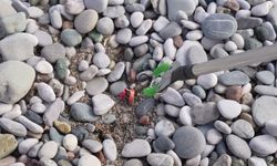 Antalya'da deniz kirliliğiyle mücadele için 'Sahil Plastik Ortaklığı' projesi