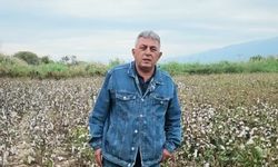 Artan maliyetlerden dert yanan pamuk üreticisi: 'Çiftçinin dilinde tüy bitti'