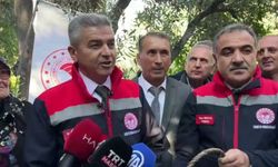Artvin Valisi Ergün: 'Butko zeytininde Artvin'de 700 ton rekolte bekliyoruz'
