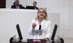 Asu Kaya: 'Kırsalda çalışan kadının sigortasını ödeyeceğiz, köylere kreş açacağız'
