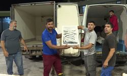 Av yasağı bitti, İzmirliler balık tezgâhlarına akın etti: Balık halinde ilk ayda işlem hacmi 9 bin tonu aştı
