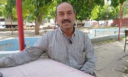 Aydın'da zeytin üreticilerinin feryadı: 'Böyle giderse ağaçları kesmek zorunda kalacağız'