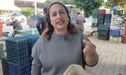 Aydınlı zeytin tüccarından zeytin fiyatlarına tepki: 'Köylü biterse herkes biter'