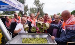 Ayvalık'ta 'Uluslararası Zeytin Hasat ve Turizm Festivali' için geri sayım başladı