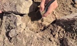 Bakan Ersoy: 'Tavşanlı Höyük kazılarında yaklaşık dört bin yıllık pati izleri bulduk'