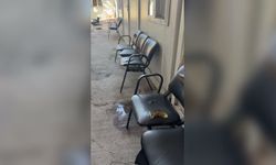 Birlik ve Dayanışma Sendikası Genel Başkanı Mehlepçi: 'Verilen bin aile sağlığı merkezi sözü nerede?'