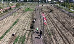 Bornova'nın üretim modeli Türkiye'ye yayılıyor