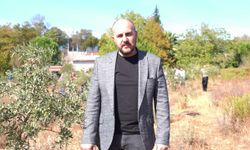 Buca'da 'Sertifikalı Zeytin Budama Eğitimi' tamamlandı
