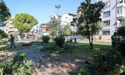 Buca'nın yeşil alanlarına sonbahar bakımı