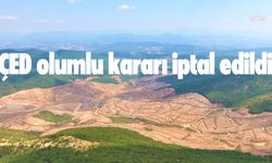 Çanakkale'de altın madeni projesinin ÇED olumlu kararına iptal: Kamu yararı yok