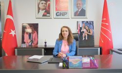 CHP Genel Başkan Yardımcısı İlgezdi: 'Grip mevsimi kapıya dayanmışken aşı yok'
