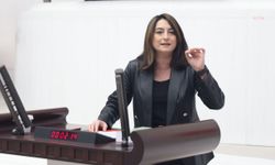 CHP'li Bankoğlu'ndan iktidara çağrı: Kadına yönelik şiddetle mücadeleyi gerçek bir bütçe önceliği haline getirin