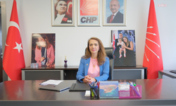 CHP'li Gamze Akkuş İlgezdi'den, 'zorunlu uzaktan muayene uygulaması'yla ilgili soru önergesi