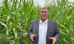 CHP'li Gürer: 'Çiftçimiz 1 trilyon 500 milyar liralık kredi yükü altında eziliyor'