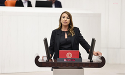 CHP'li Kara, Hatay'daki sokak hayvanları barınağını TBMM gündemine taşıdı