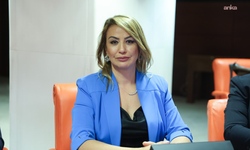 CHP'li Kara'dan İskenderun Limanı'ndaki et kaçakçılığını Meclis gündemine taşıdı