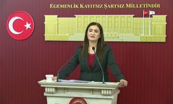 CHP'li Kılıç'tan bütçe eleştirisi: 'Vergiyi toplarken herkesi buluyorlar, refahı dağıtırken herkesi unutuyorlar'