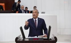 CHP'li Öztürkmen, ANKA'nın İskenderun Devlet Hastanesi haberini TBMM gündemine taşıdı