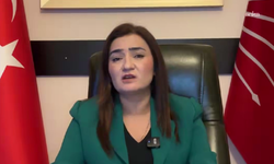 CHP'li Sevda Erdan Kılıç'tan Gürsel Tekin ve Mehmet Ali Yüksel'e başarı mesajı